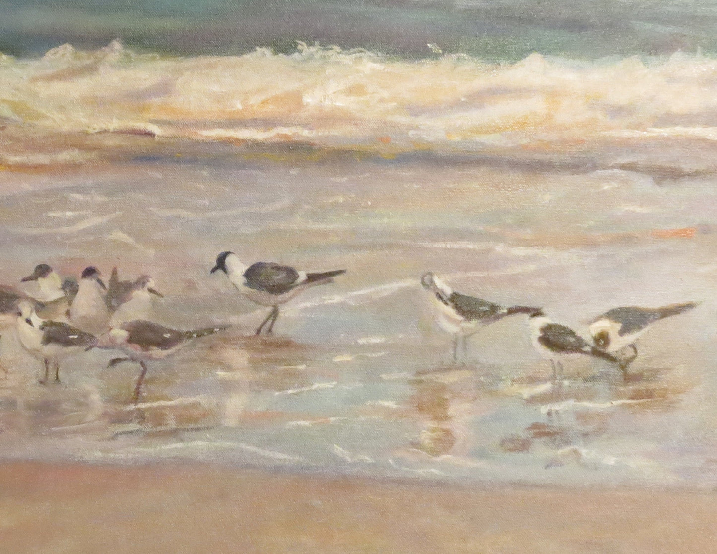 Sanderlings